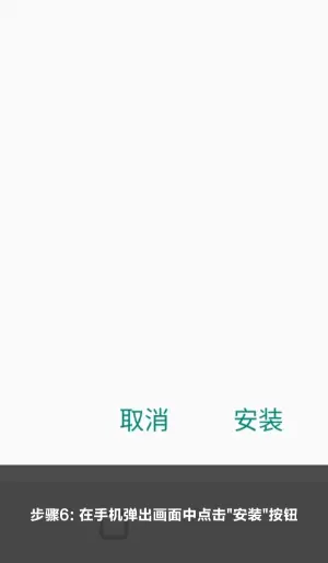 亚星安卓安装步骤6：点击安装